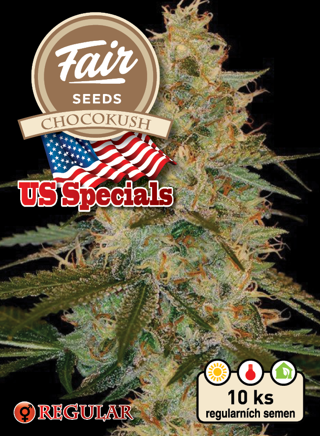 Fair Seeds Chocokush regulérní semena