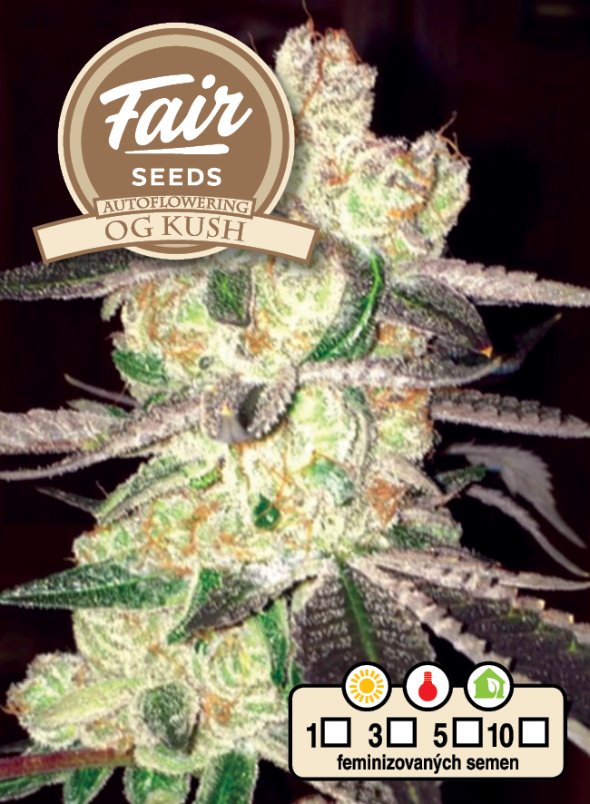 Fair Seeds Auto OG Kush samonakvétací feminizovaná semena