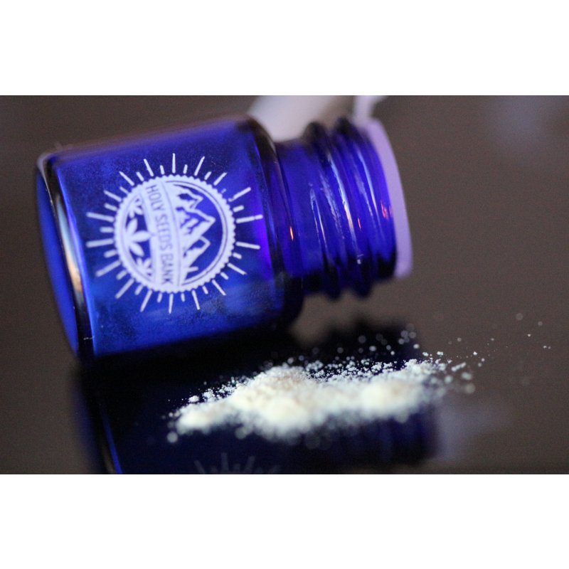 Holy Seeds Bank Harakiri feminizovaný pyl