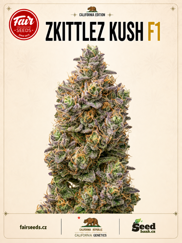 Fair Seeds Zkittlez Kush F1 feminizovaná semena