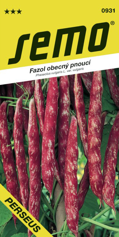 Fazol obecný pnoucí Perseus