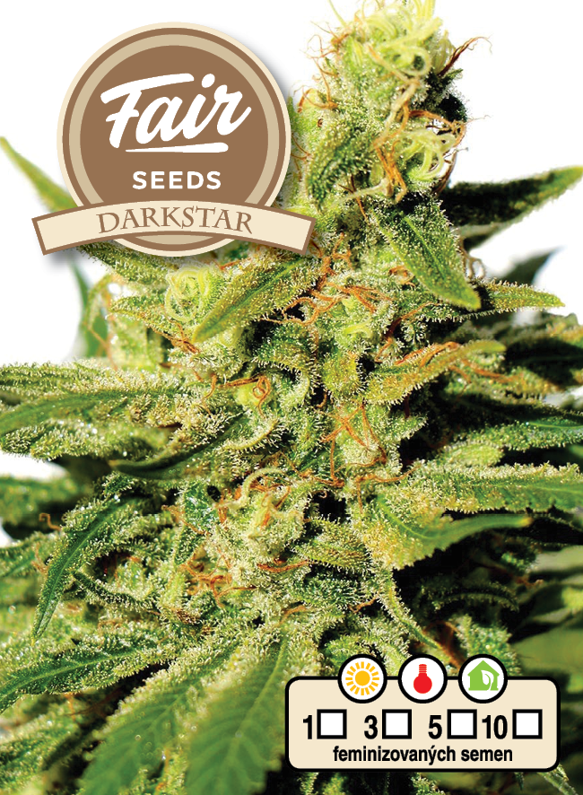 Fair Seeds Darkstar feminizovaná semena