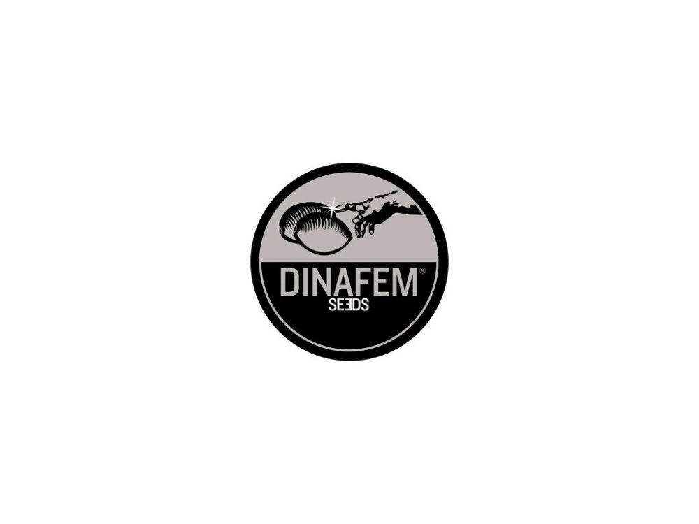 Auto Dinafem Collectors Pack 24 feminizovaná samonakvétací semena