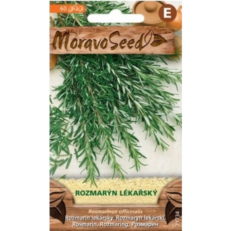 Rozmarýn lékařský (Rosmarinus officinalis), semena