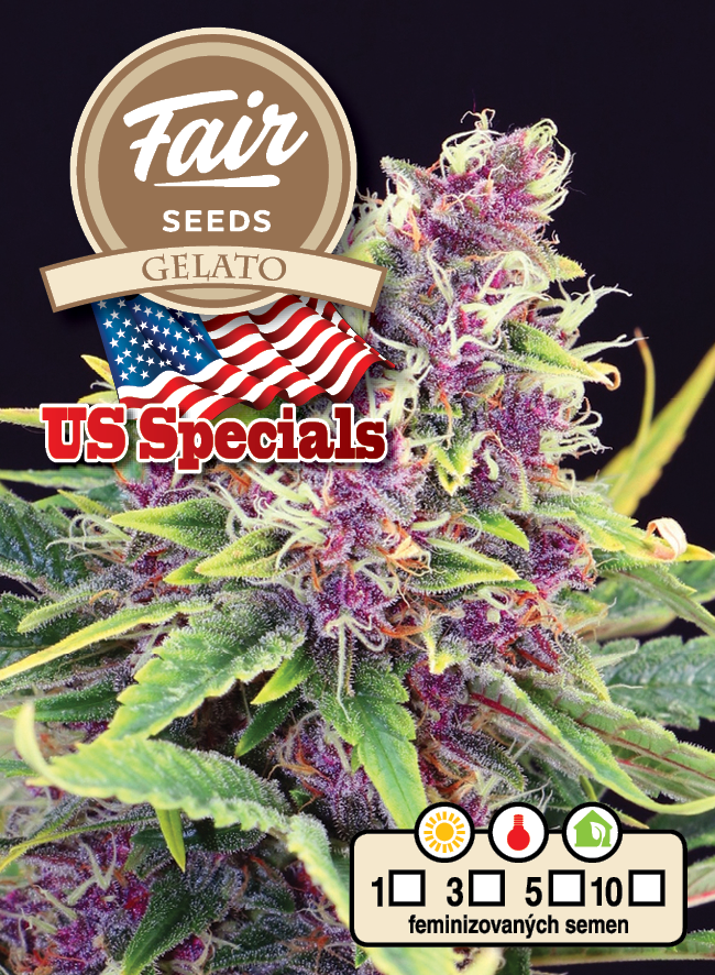 Fair Seeds Gelato feminizovaná semena