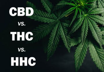 CBD vs. THC vs. HHC 