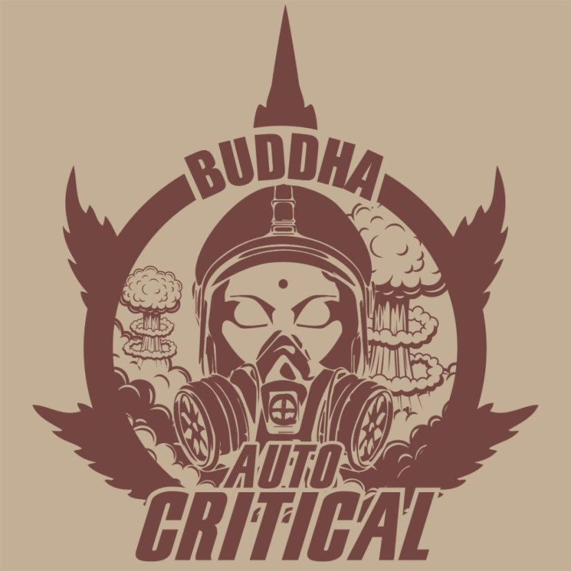 Buddha Autoflowering Critical, 3 ks, Buddha Seeds