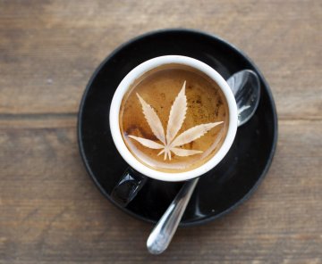 Warum könnte Kaffee das Gegenteil von Cannabis sein?