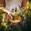 BIO Thyme - 100% natural essential oil 10 ml