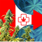 Cheaper cannabis at the pharmacy - are Canadians simulating symptoms at the doctor?