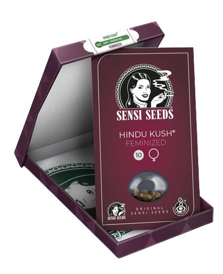 Hindu Kush - feminizovaná semínka 3 ks Sensi Seeds