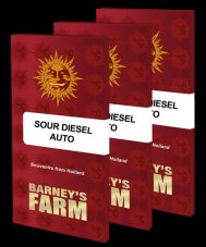 Sour Diesel Auto - autoflowering Samen, 3 Stück, Barneys Farm