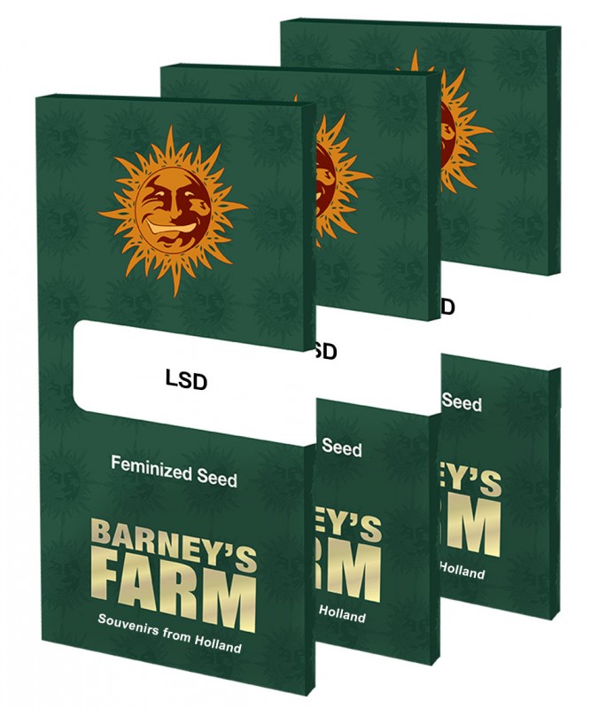 LSD – feminizovaná semínka Barney´s Farm 3 ks