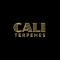 Čím sú výnimočné terpény a e-liquids od Cali Terpenes?