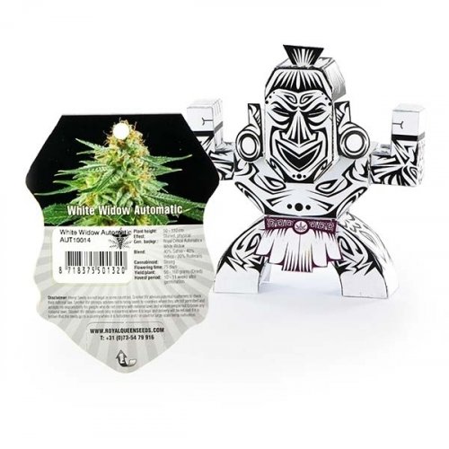 White Widow Automatic - feminized And autoflowering seeds 10 pcs Royal Queen Seeds
