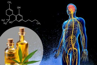 CBD OIL'S JOURNEY THROUGH THE BODY: WHAT HAPPENS AFTER TAKING IT?