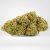 Gorilla Glue - CBD Blumen Cannapio, 5g