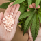 THC alebo CBD pre Psy a Mačky? Pár dôležitých rád