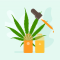 5 Articles for People You Want to Introduce to the Therapeutic Effects of Cannabis