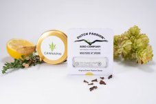 CBD Charlotte's Angel® - feminisierte Samen 10 Stück Dutch Passion