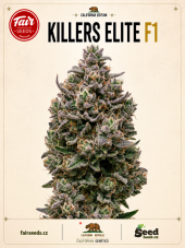 Fair Seeds Killers Elite F1 feminisierte Samen