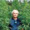 (STUDY) - Anti-inflammatory Effects of Cannabis Terpenoids