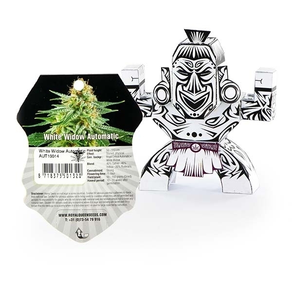 White Widow Automatic - feminizovaná a samonakvétací semínka 3 ks Royal Queen Seeds