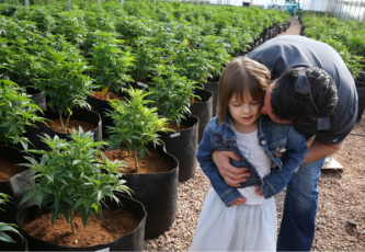Fighting Dravet syndrome: medical cannabis as the key to improvement