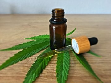 CBD a cholesterol