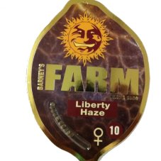Liberty Haze – feminizované semienka 10 ks Barney Farms