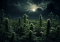 The Importance of Darkness in Cannabis Cultivation: A Key Factor for Proper Growth and High Yields
