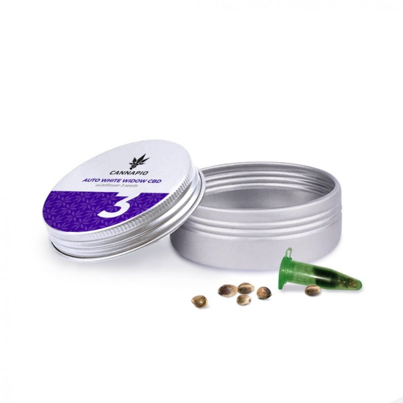 Auto White Widow CBD - selbstblühende Samen 3 Stück Cannapio
