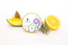 CBD Blueberry (1:16) - nasiona feminizowane 10 szt Cannapio