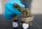 Does the placebo effect also apply to CBD?