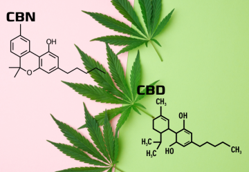 CBD vs. CBN: Ako sa líšia a aké sú ich účinky?