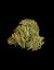 Titan F1 - autoflowering marijuana seeds 10pcs, Royal Queen Seeds