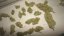 Monster - 9ks feminized semená Eva Seeds
