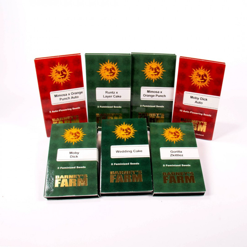 Gorilla Zkittlez - feminized seeds 3 pcs, Barney´s Farm