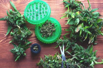 CANNABIS-HÄCKSLER: EIN LEITFADEN FÜR DIE VERWENDUNG UND TIPPS FÜR DIE AUSWAHL DES BESTEN MODELLS