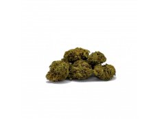 HHC Květy Cheese Kush, CBDcko 1g