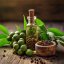 BIO Zelené korenie - 100% prírodný esenciálny olej (10ml) - Pestík