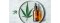 Therapeutic Cannabinoids 1: CBD and THCV