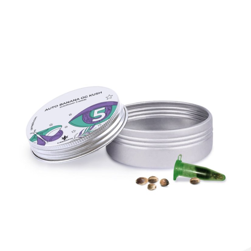 Auto Banana OG Kush - autoflowering seeds 5 pcs Cannapio