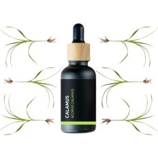 BIO Calamus - 100% prírodný esenciálny olej (10ml) - Pestík