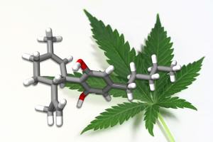 Medizinische CBD-Modelle von Cannabis