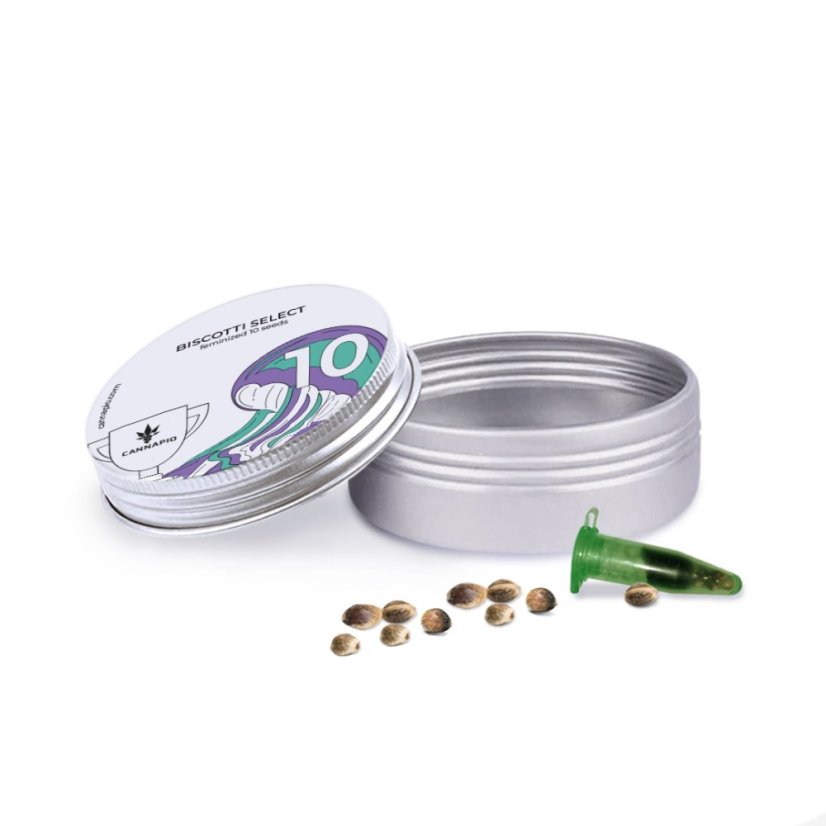 Biscotti Select - feminizovaná semínka 10 ks Cannapio