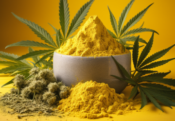 Kombination von CBD und Kurkuma: Überraschende Gesundheitseffekte