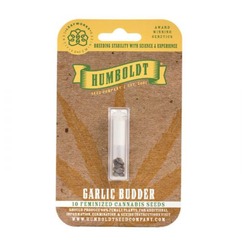 Garlic Budder - феминизирани семена от марихуана 3 броя, Humboldt Seed Company