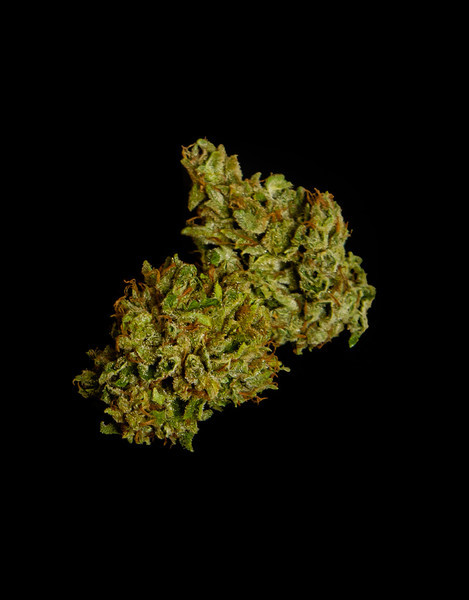 Cosmos F1 - autoflowering CBD Marihuana Samen 5Stck, Royal Queen Seeds