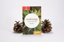 Doctor Seedsman CBD 30:1 - feminizované semienka 5 ks Seedsman